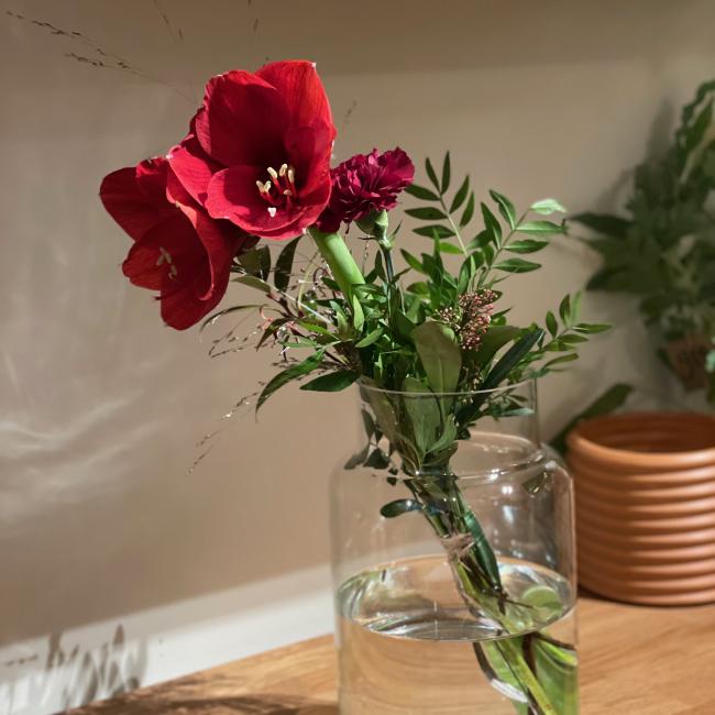 Amaryllis bukett